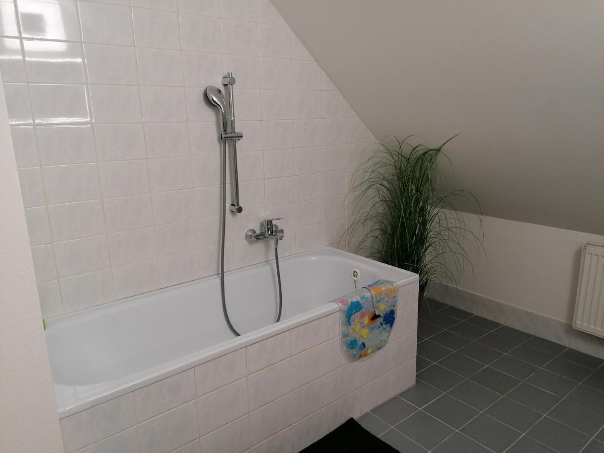 Apartman U Zoubku Apartment Litomyšl Екстериор снимка